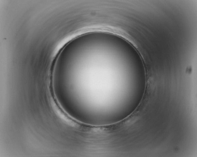 X0000112461523200908171150