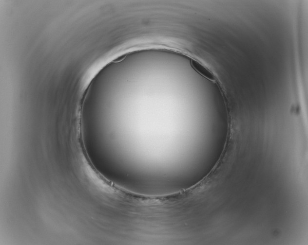 X0000112461524200908171150