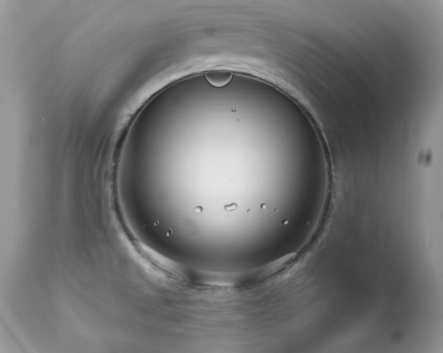 X0000112461525200908171150