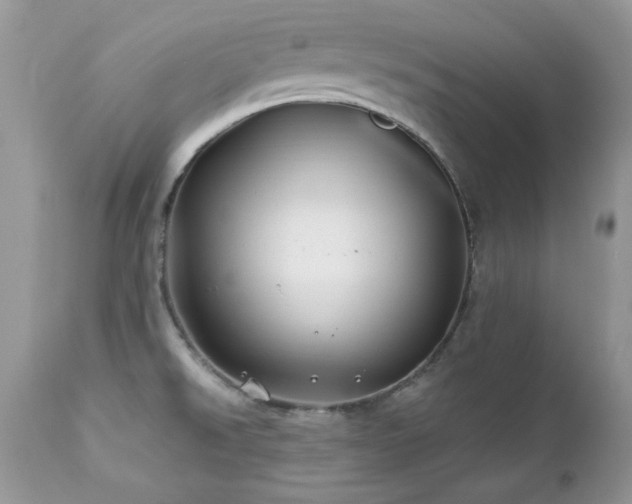 X0000112461526200908171150
