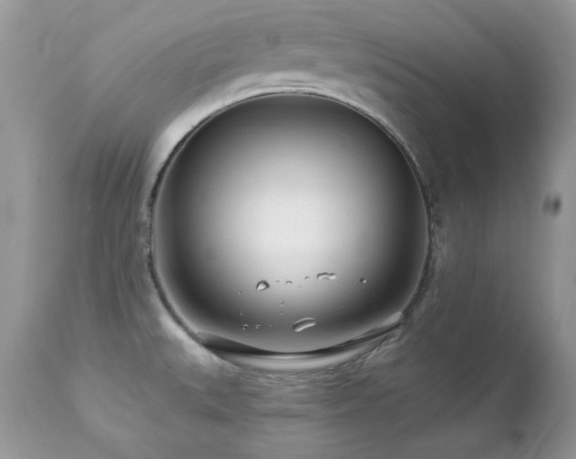 X0000112461527200908171150