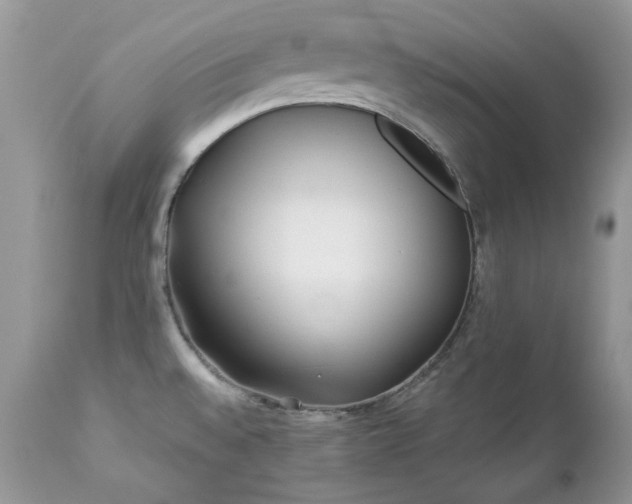 X0000112461528200908171150