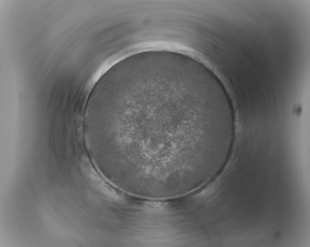 X0000112461529200908171150