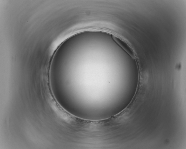 X0000112461530200908171150