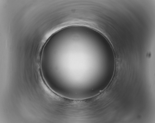 X0000112461531200908171150