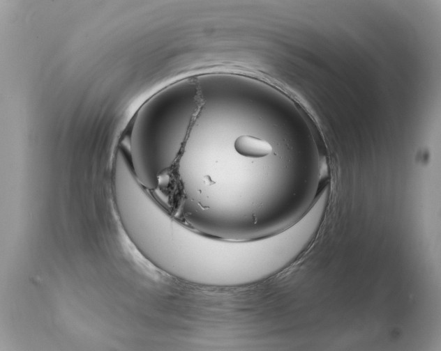 X0000112461532200908171150