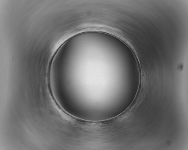 X0000112461533200908171150