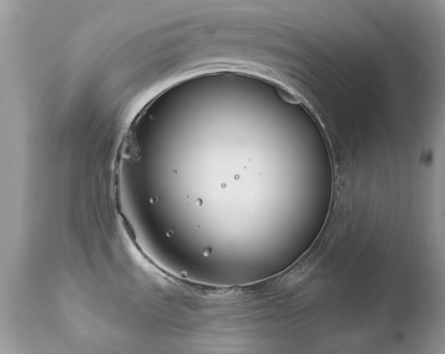 X0000112461535200908171150