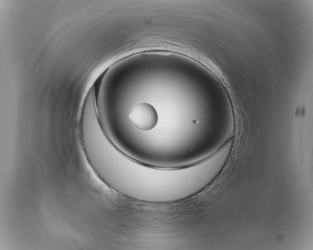 X0000112461536200908171150