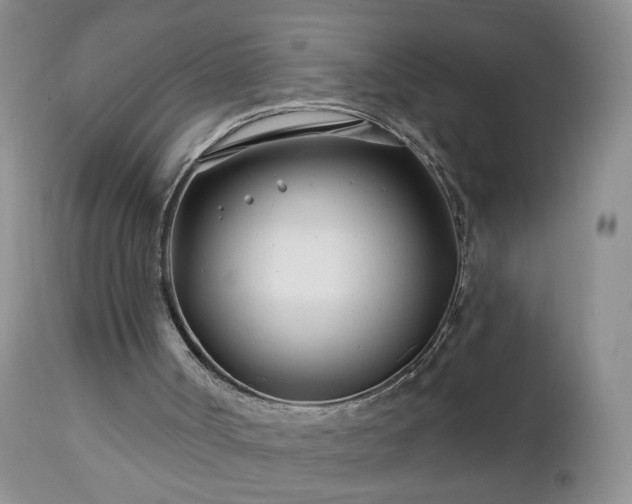 X0000112460002200908241310