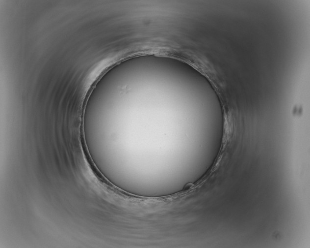 X0000112460003200908241310