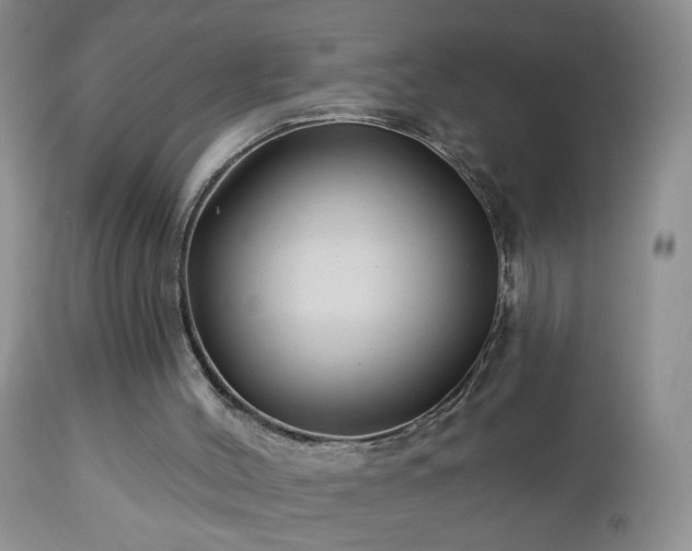 X0000112460004200908241310