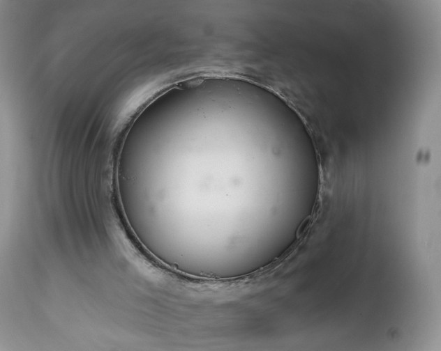 X0000112460005200908241310