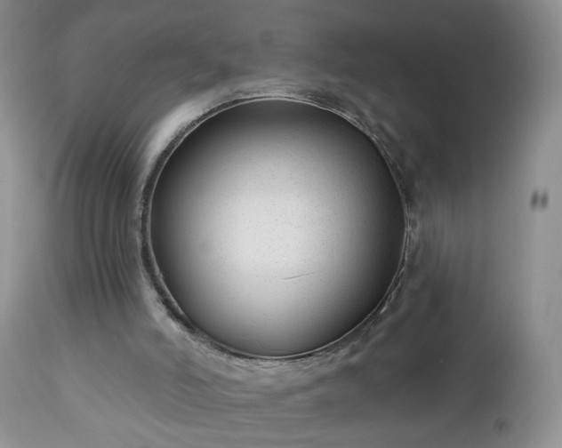 X0000112460006200908241310