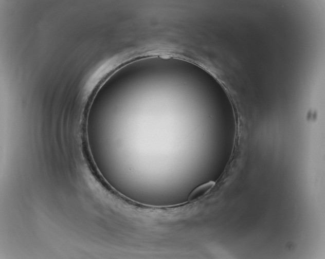 X0000112460007200908241310