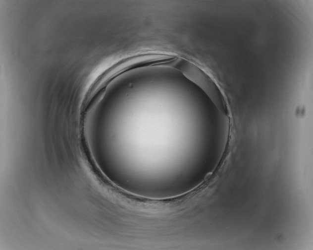 X0000112460008200908241310