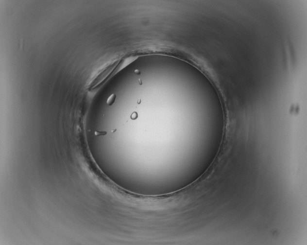 X0000112460010200908241310