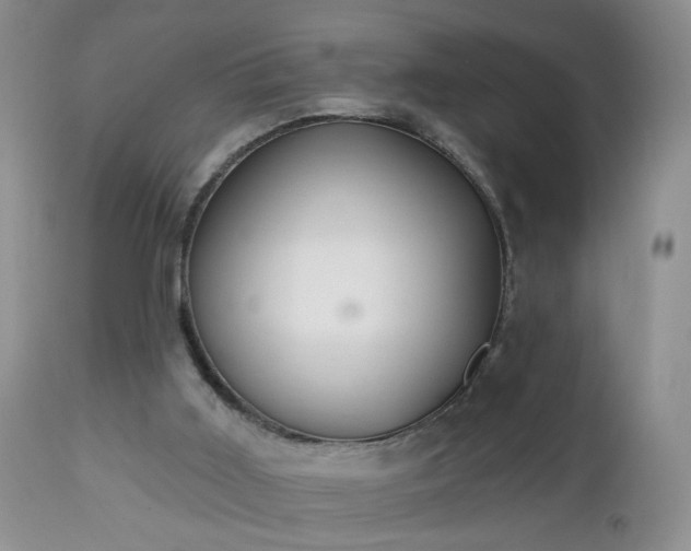 X0000112460011200908241310