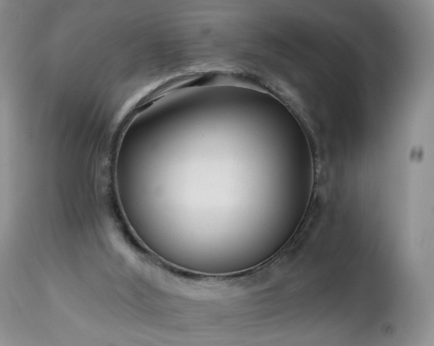 X0000112460012200908241310