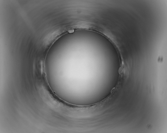 X0000112460013200908241310