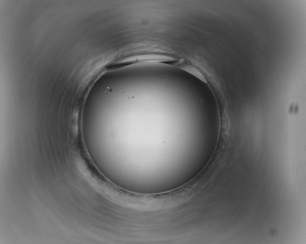 X0000112460014200908241310