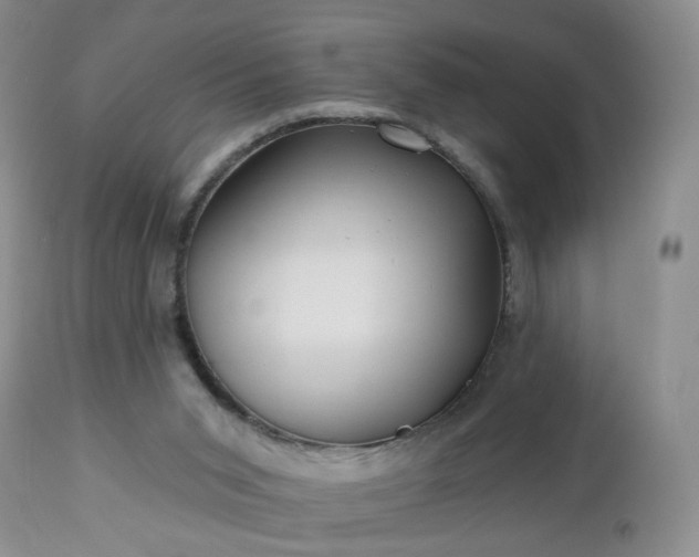 X0000112460015200908241310