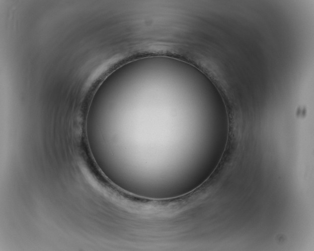 X0000112460016200908241310