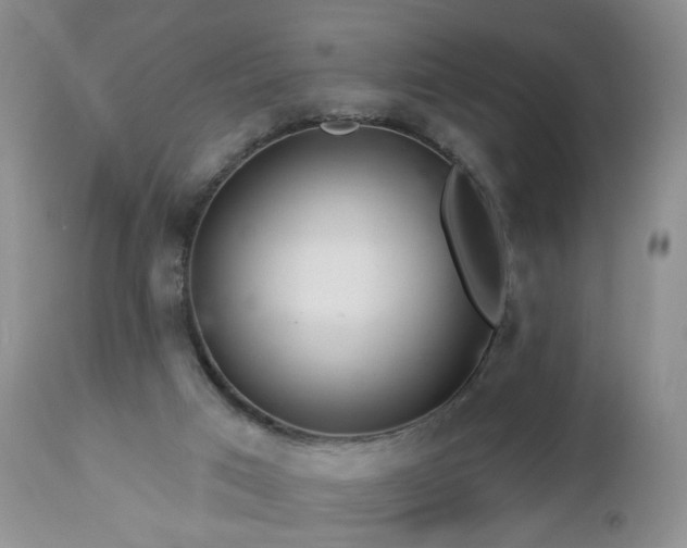 X0000112460017200908241310