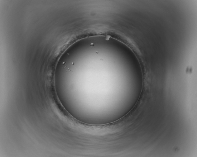 X0000112460018200908241310