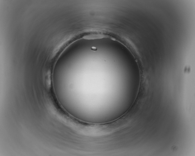 X0000112460020200908241310