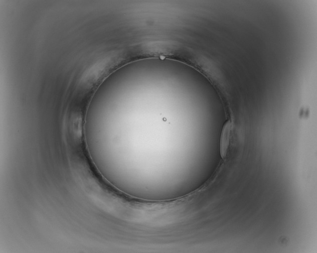 X0000112460021200908241310