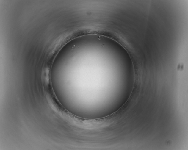 X0000112460022200908241309