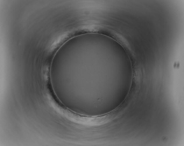 X0000112460023200908241309