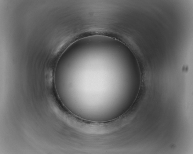 X0000112460024200908241309