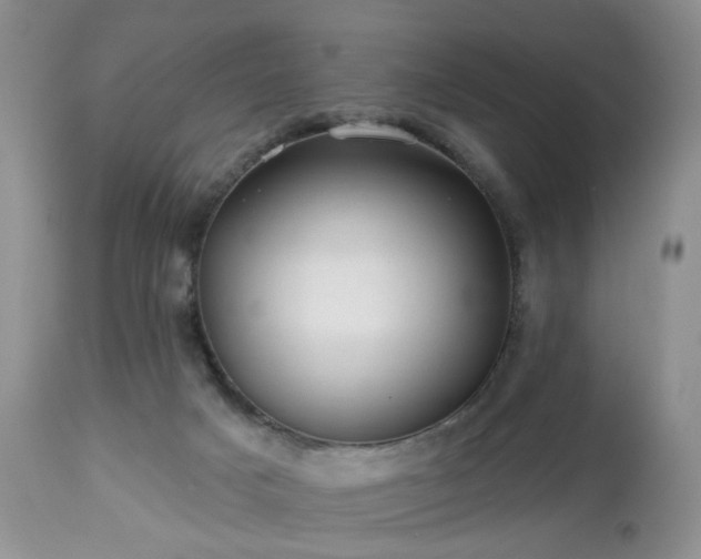 X0000112460025200908241309