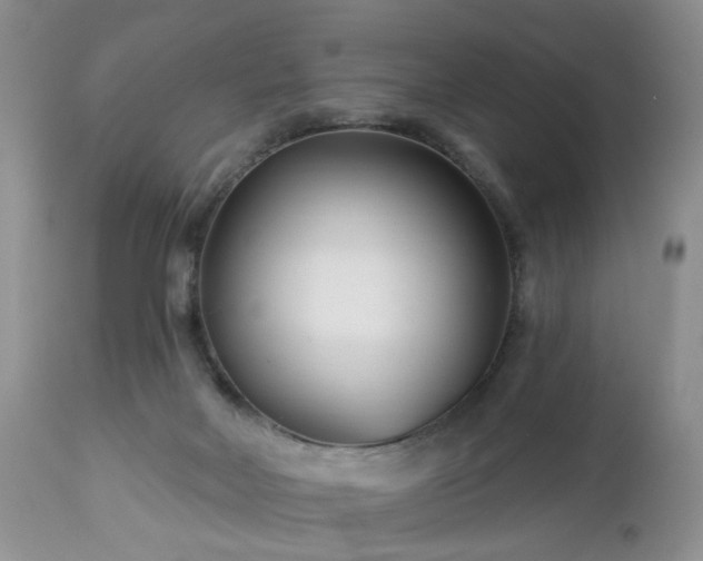 X0000112460026200908241309