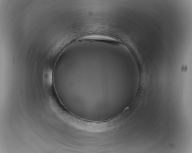 X0000112460027200908241309