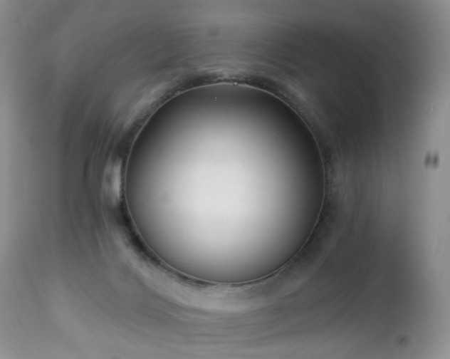 X0000112460028200908241309