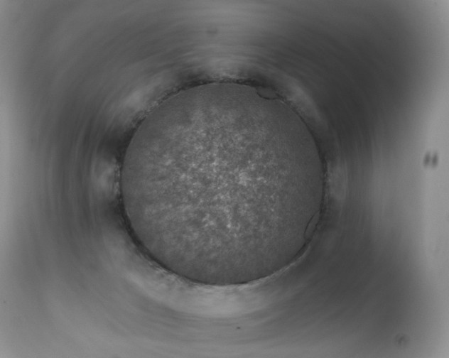 X0000112460029200908241309