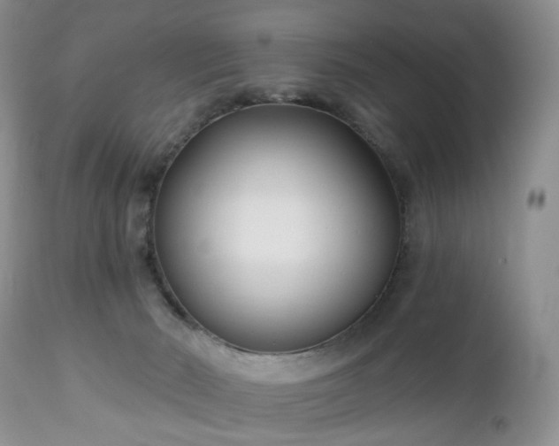 X0000112460030200908241309