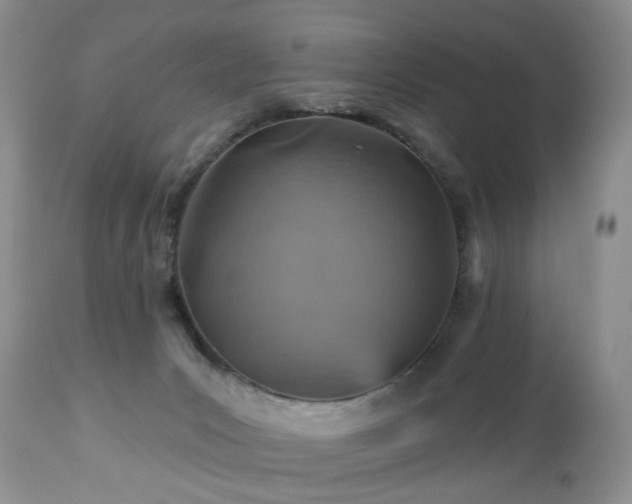 X0000112460031200908241309