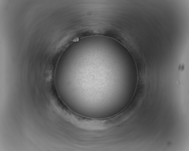 X0000112460032200908241309