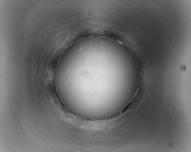 X0000112460033200908241309