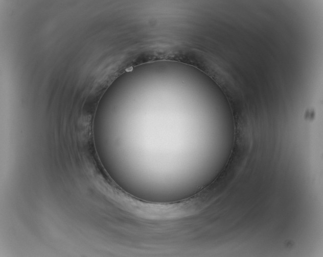 X0000112460034200908241309