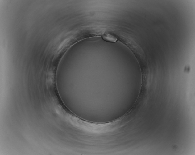 X0000112460035200908241309