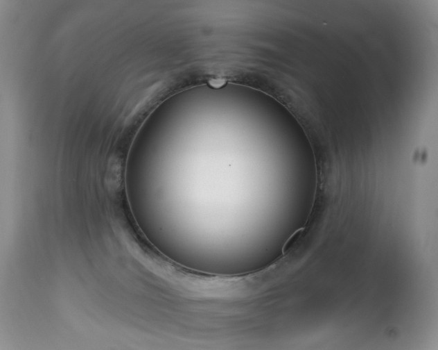 X0000112460036200908241309