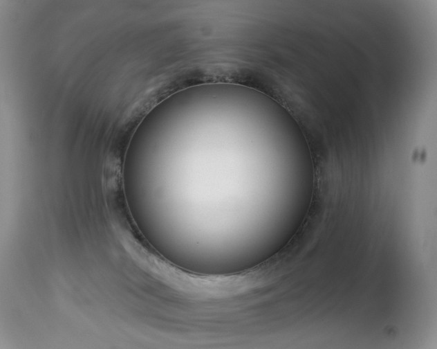 X0000112460038200908241309