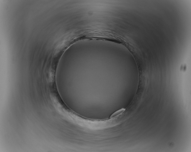 X0000112460039200908241309