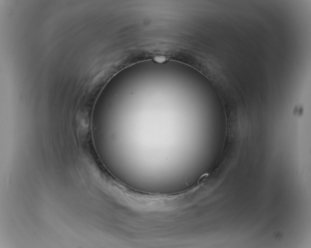 X0000112460040200908241309