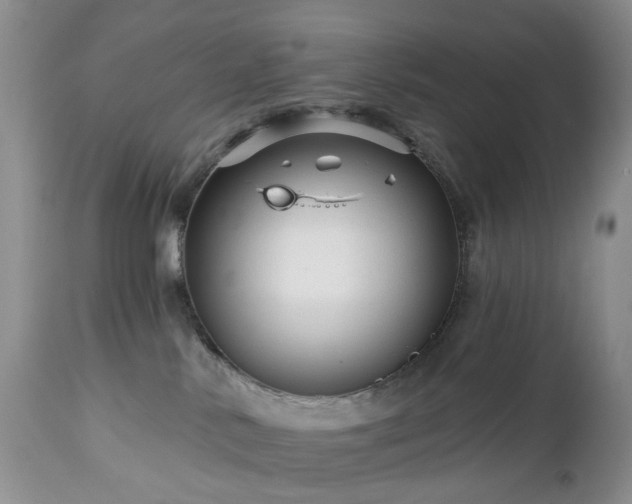 X0000112460042200908241309